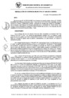 Vista preliminar de documento RG_408-2021.pdf