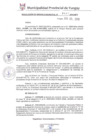 Vista preliminar de documento RGM0437-2019