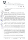Vista preliminar de documento RGM0438-2019