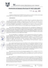 Vista preliminar de documento RGM0427-2019
