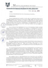 Vista preliminar de documento RGM0431-2019