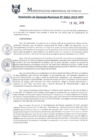 Vista preliminar de documento RGM0462-2019
