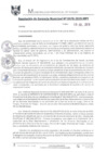 Vista preliminar de documento RGM0470-2019