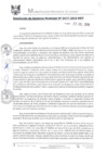Vista preliminar de documento RGM0477-2019