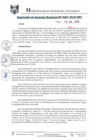 Vista preliminar de documento RGM0467-2019