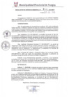 Vista preliminar de documento RGM0484-2019