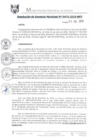 Vista preliminar de documento RGM0475-2019