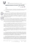 Vista preliminar de documento RGM0487-2019
