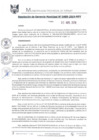 Vista preliminar de documento RGM0489-2019