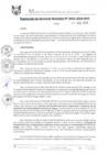 Vista preliminar de documento RGM0493-2019