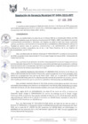 Vista preliminar de documento RGM0494-2019