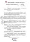 Vista preliminar de documento RGM0491-2019