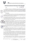 Vista preliminar de documento RGM0515-2019