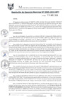 Vista preliminar de documento RGM0505-2019