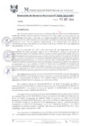 Vista preliminar de documento RGM0539-2019