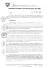 Vista preliminar de documento RGM0538-2019