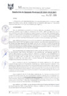 Vista preliminar de documento RGM0543-2019
