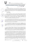 Vista preliminar de documento RGM0613-2019