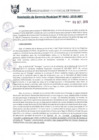 Vista preliminar de documento RGM0642-2019