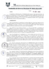 Vista preliminar de documento RGM0645-2019