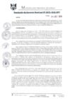 Vista preliminar de documento RGM0675-2019