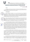 Vista preliminar de documento RGM0680-2019