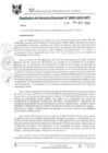 Vista preliminar de documento RGM0684-2019