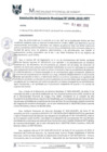 Vista preliminar de documento RGM0696-2019