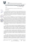 Vista preliminar de documento RGM0711-2019