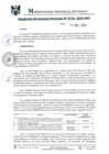 Vista preliminar de documento RGM0716-2019