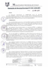 Vista preliminar de documento RGM0707-2019
