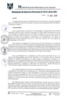 Vista preliminar de documento RGM0717-2019