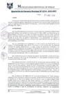 Vista preliminar de documento RGM0744-2019