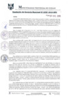 Vista preliminar de documento RGM0787-2019