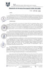 Vista preliminar de documento RGM0799-2019