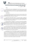 Vista preliminar de documento RGM0795-2019