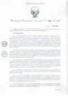 Vista preliminar de documento Resolución Directoral Nacional N° 132-2017-BNP-RDN