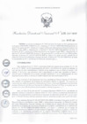 Vista preliminar de documento Resolución Directoral Nacional N° 126-2017-BNP-RDN