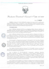 Vista preliminar de documento Resolución Directoral Nacional N° 040-2017-BNP-RDN