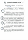 Vista preliminar de documento rer_243_2020_gr