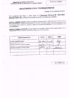 Vista preliminar de documento R.D. Nº 310.pdf