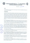 Vista preliminar de documento RD_207_2015