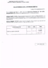 Vista preliminar de documento R.D. Nº 313.pdf