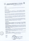 Vista preliminar de documento RD_262_2013