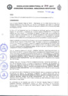 Vista preliminar de documento RD_247_2017