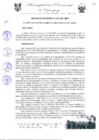 Vista preliminar de documento ORD0030-2011