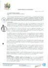 Vista preliminar de documento ACUERDO-MUNICIPAL-N-014-2020-CM-MPA.pdf