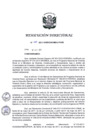 Vista preliminar de documento RD 100-2017.pdf
