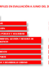 Vista preliminar de documento perfiles_en_evaluacion_a_junio