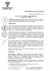 Vista preliminar de documento RA-N-051-2020-MDSA